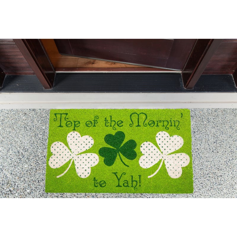 DII Seasonal Coir Doormat