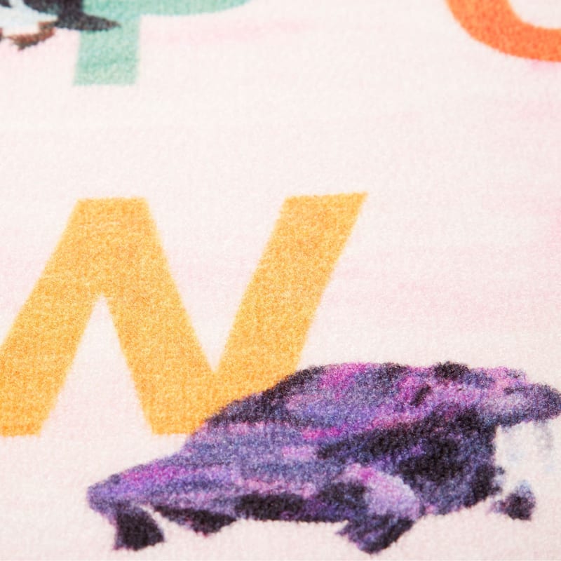 Eric Carle Elementary Pink Alphabet Machine Washable Kids Area Rug