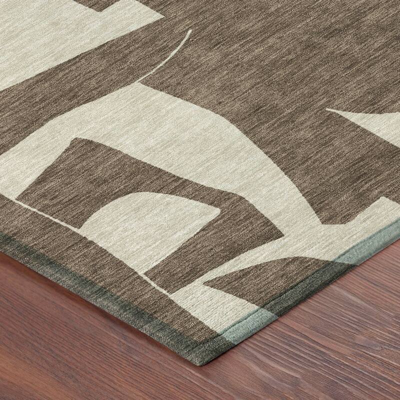 Machine Washable Indoor/ Outdoor Modern Creede Chantille Rug