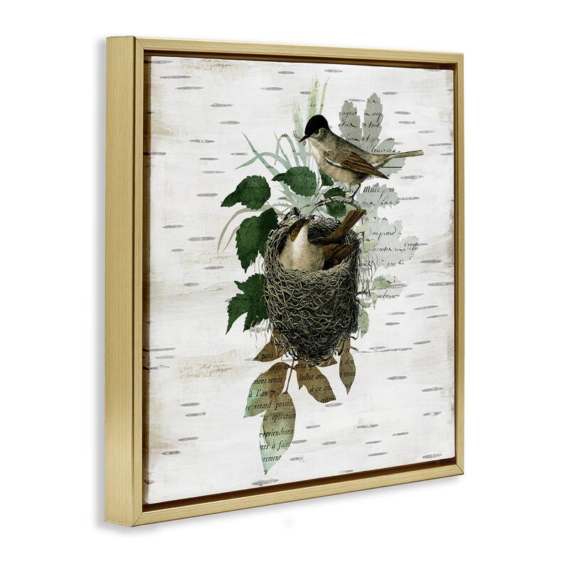 Stupell Birds in Vintage Nest Framed Floater Canvas Wall Art Design By Susan Arnot