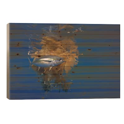 Yellowfin Tuna And Blue Marlin Beside Floating Kelp, Nine Mile Bank, San Diego, California Print On Wood by Richard Herrmann