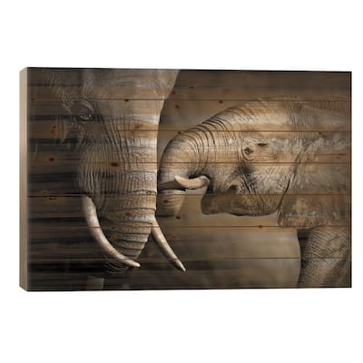 Elephant Affection Print On Wood by Johan Swanepoel - Multi-Color