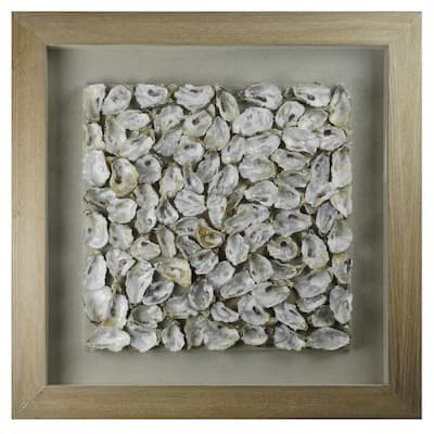 HUJI Oyster Cluster Shadow Box Wall Decor
