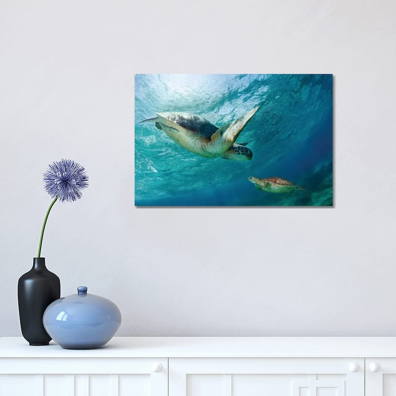 iCanvas "Contact" by Andrey Narchuk Canvas Print - 12x18x1.5