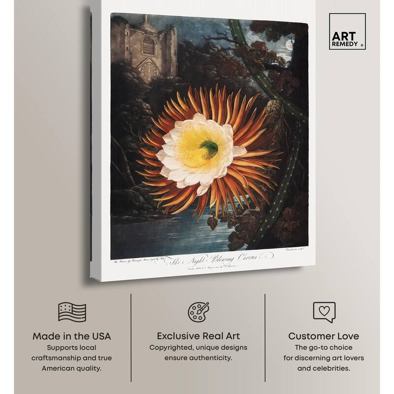 Night-Blowing Cereus 1807 Canvas by Art Remedy, Gallery Wrapped