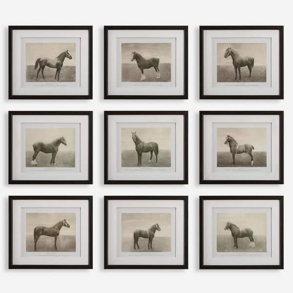 slide 2 of 6, Uttermost Equine Dynasty Framed Prints, Set of 9