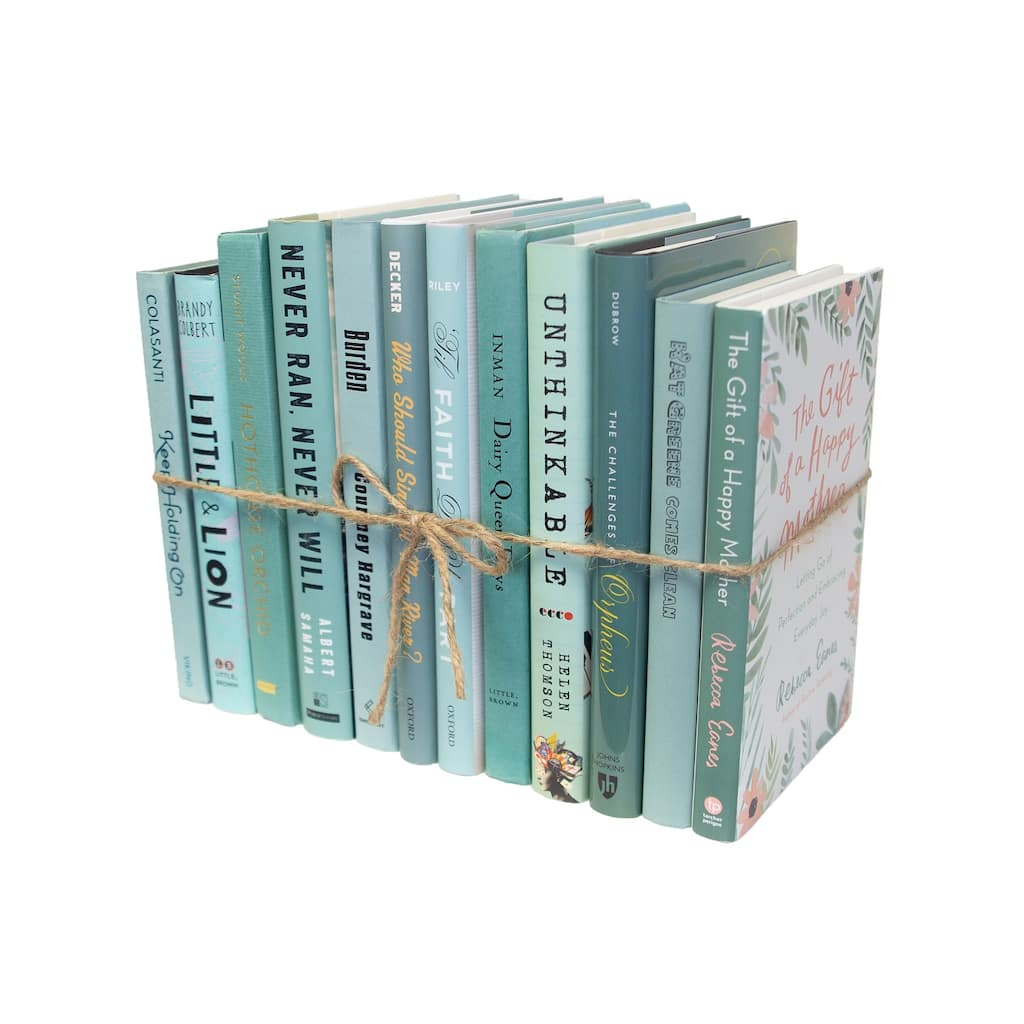 Books Blue Decorative Accessories: Aquamarine Mixed Media ColorPak