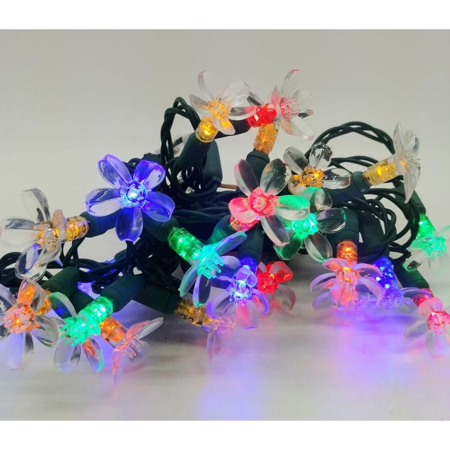 Multi Flower LED Set of 25 Lights Light String