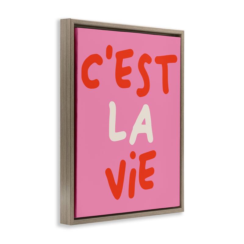 Stupell C'est La Vie on Pink Framed Floater Canvas Wall Art Design By House of Lulu
