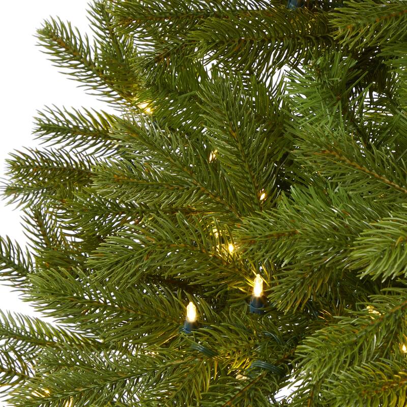6' Cambridge Spruce Flat Back Christmas Tree with 350 LED Lights - Green
