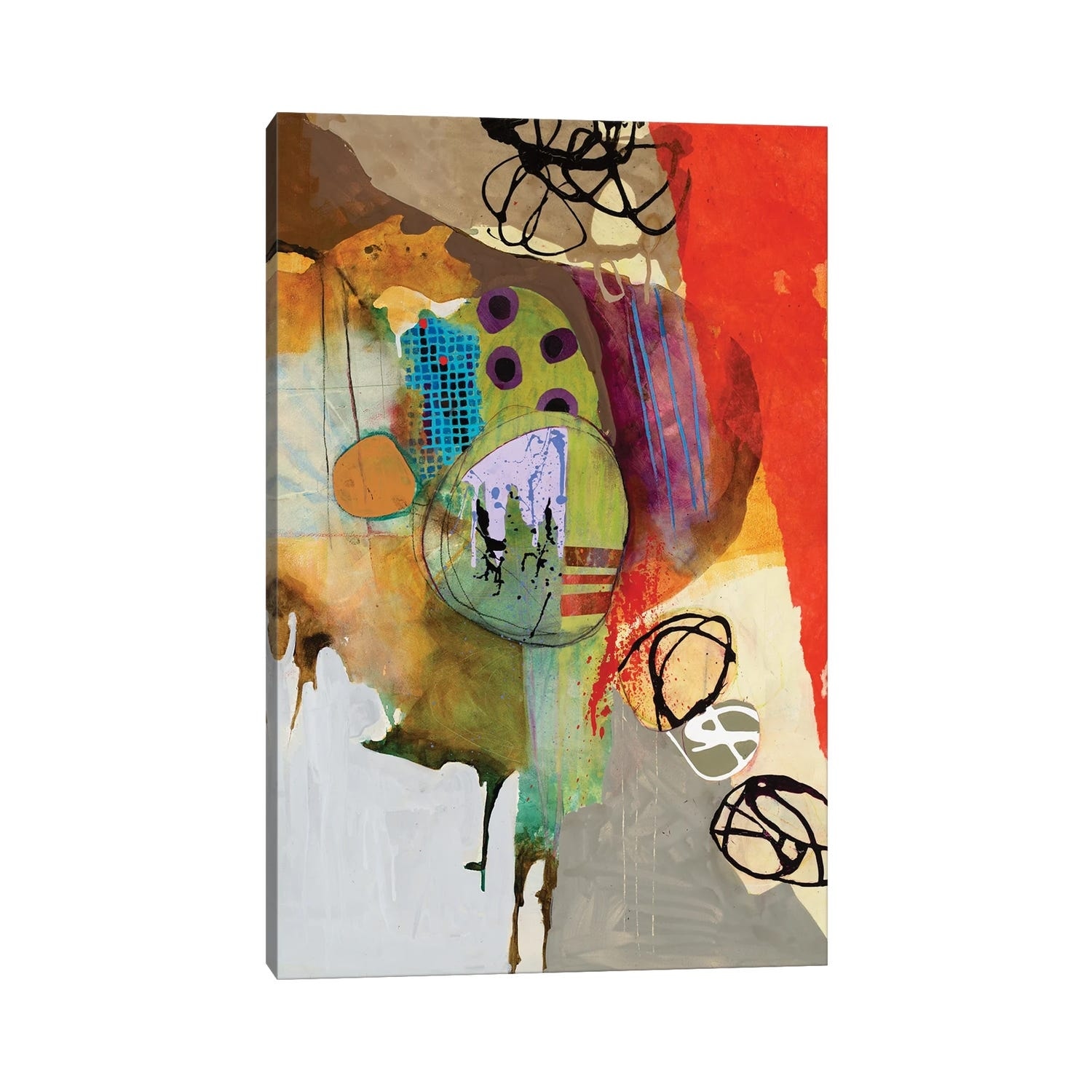 iCanvas "Frippery" by Mary Marley Canvas Print