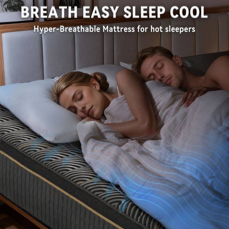 Meyreso 12-inch Hybrid Mattress with Memory Foam Comfort & Individually Wrapped Coils