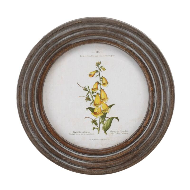 Round Framed Floral Print (Set of 6)