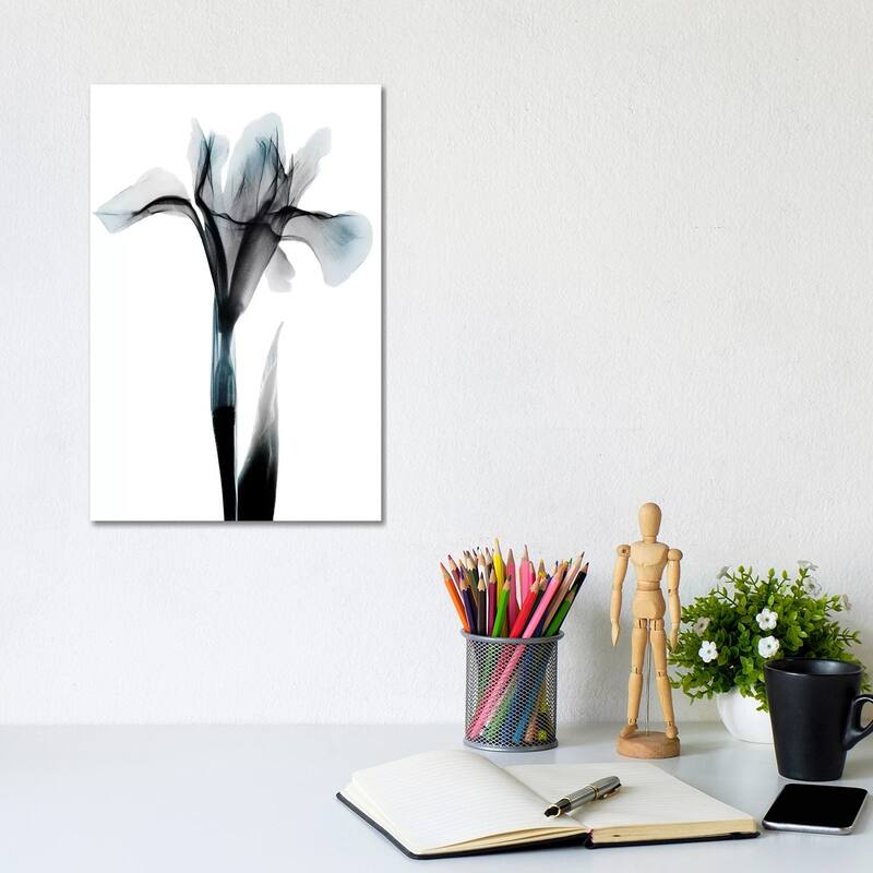 iCanvas "Ombre Sea Salt Iris" by Albert Koetsier Canvas Print - 12x8x0.75