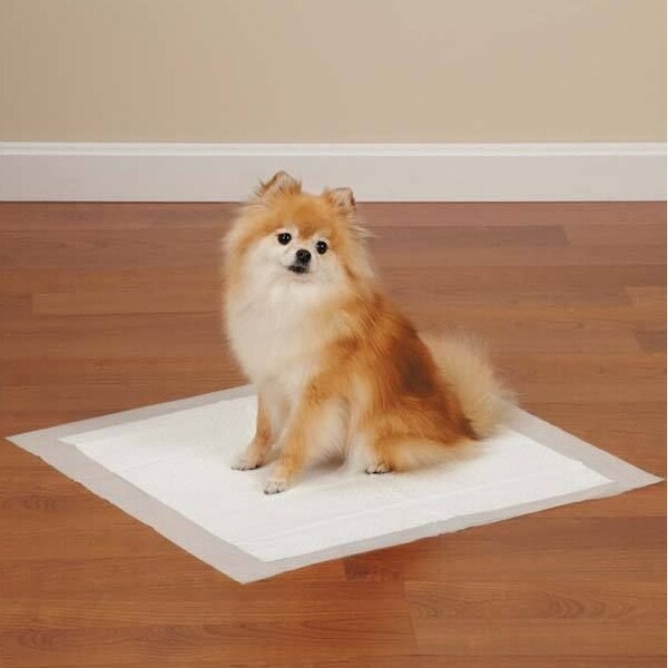 puppy training pads 100 pack