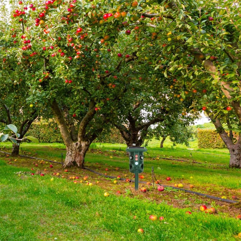 Solar Ultrasonic Animal Repeller