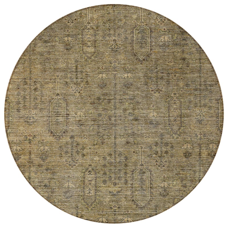 HomeRoots Southwestern Transitional Rectangle Outdoor Rug