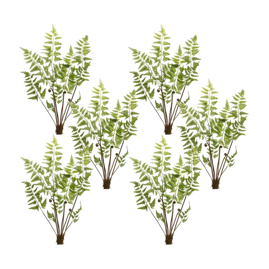 Fern Bundle (Set of 6)