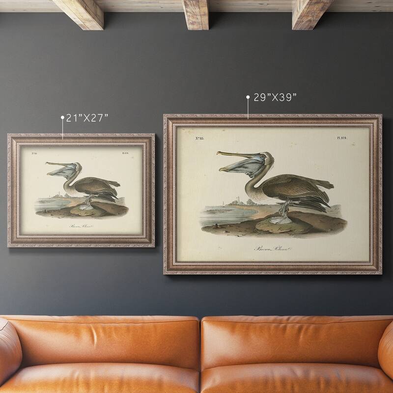 Audubons Brown Pelican Premium Framed Canvas- Ready to Hang