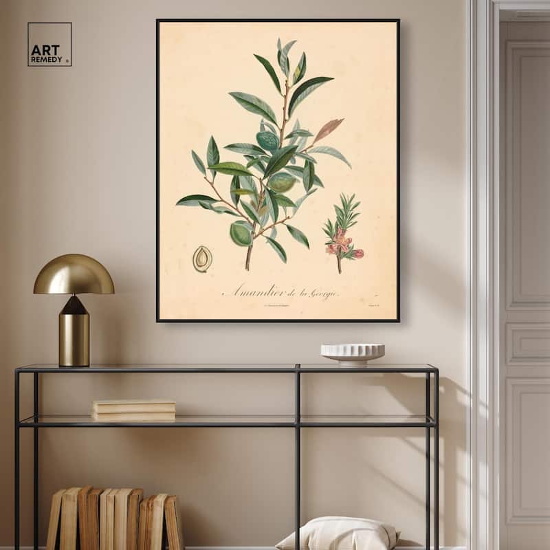 Almond of Georgia I Canvas by Art Remedy