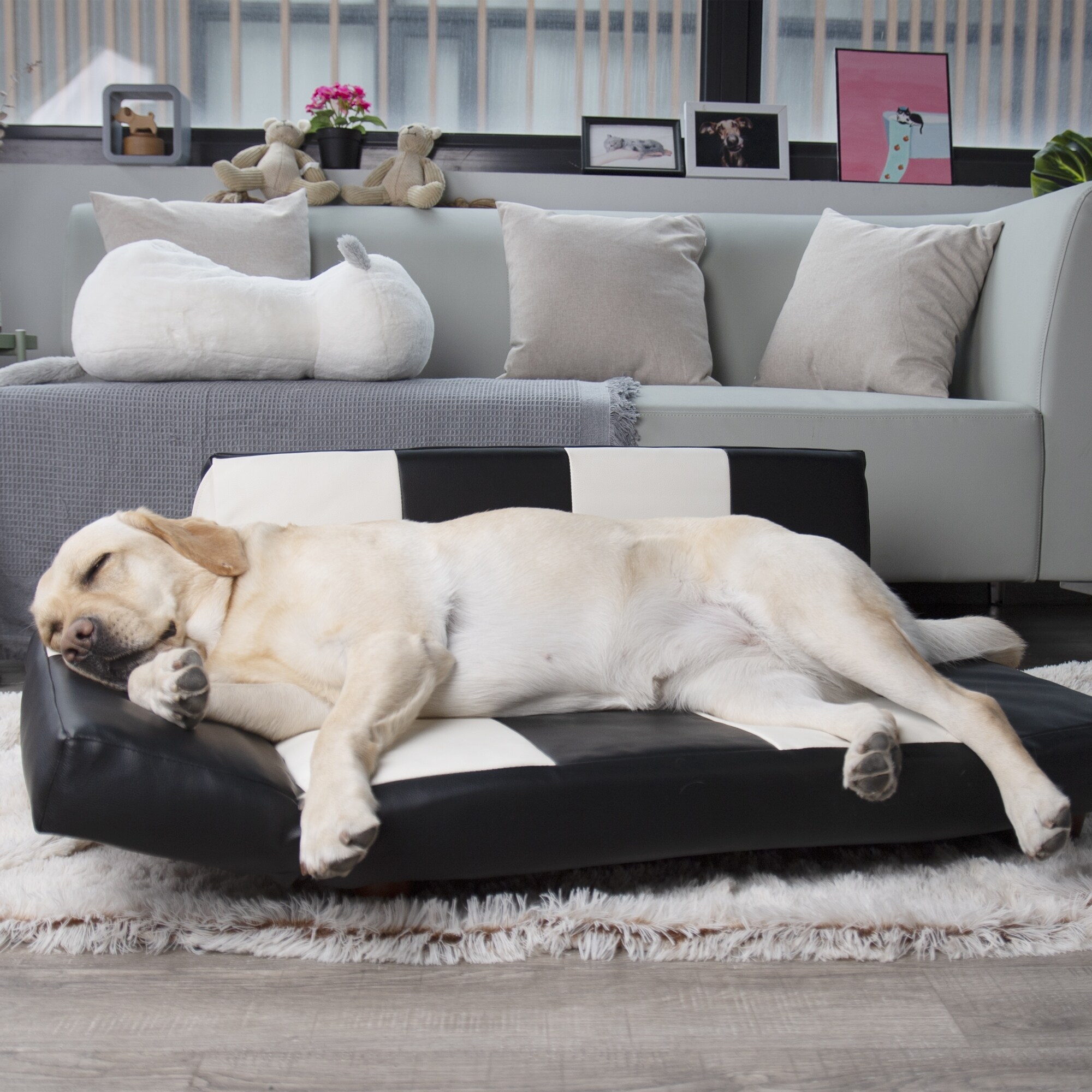 Connie dog sofa sale