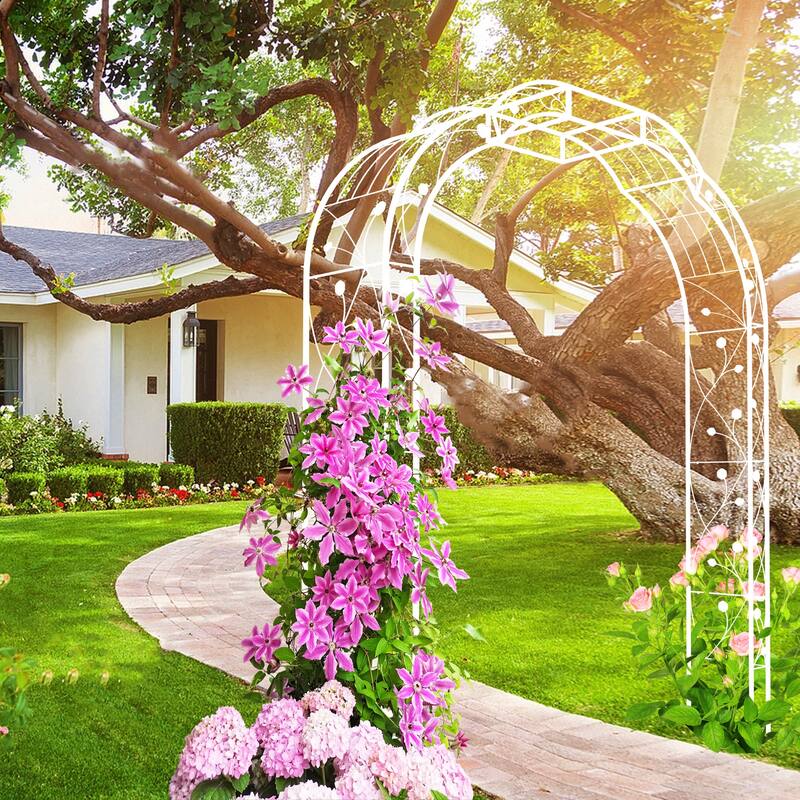 Metal Garden Arch W74.4'' x H98.4'' Garden Arbor Trellis Climbing Plants Support Rose Arch Outdoor Arch Cream