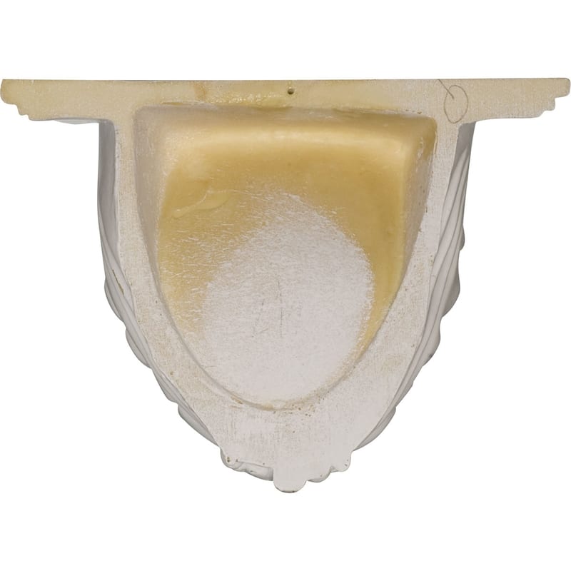 10 3/8"W x 6"D x 7 3/8"H Shell Decorative Shelf