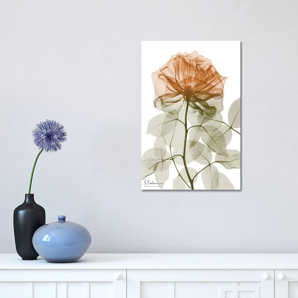 iCanvas "Urban Jungle Rose I" by Albert Koetsier Canvas Print