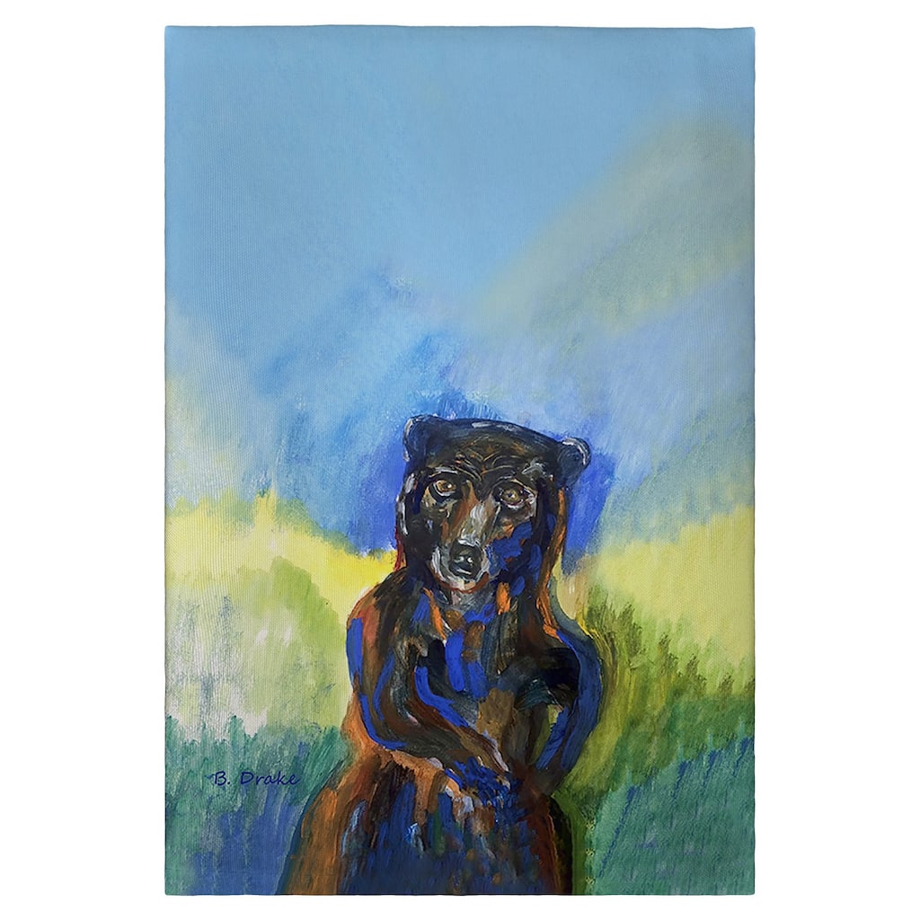 Dancing Bear Guest Towel - 20x20