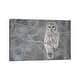 preview thumbnail 4 of 2, Let your walls talk with this fabulous Canvas Wall Art!