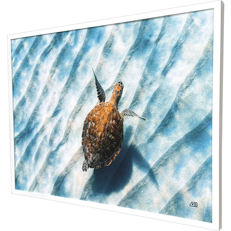 Paragon Sandbar Sea Turtle Framed Art