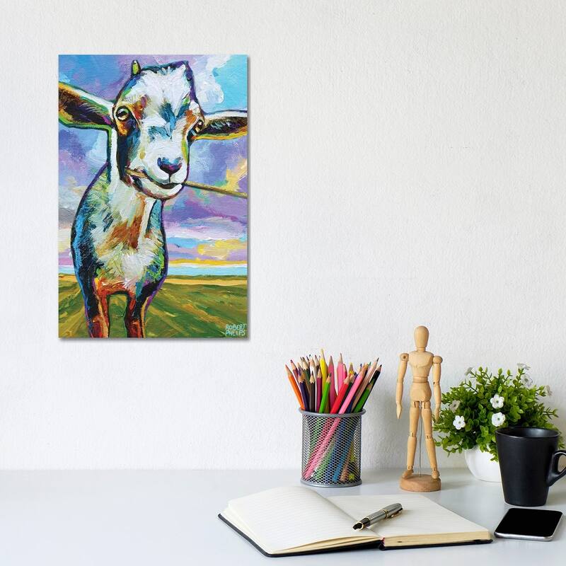 iCanvas "Theo The Goat In The Field" by Robert Phelps Canvas Print - 12x8x0.75