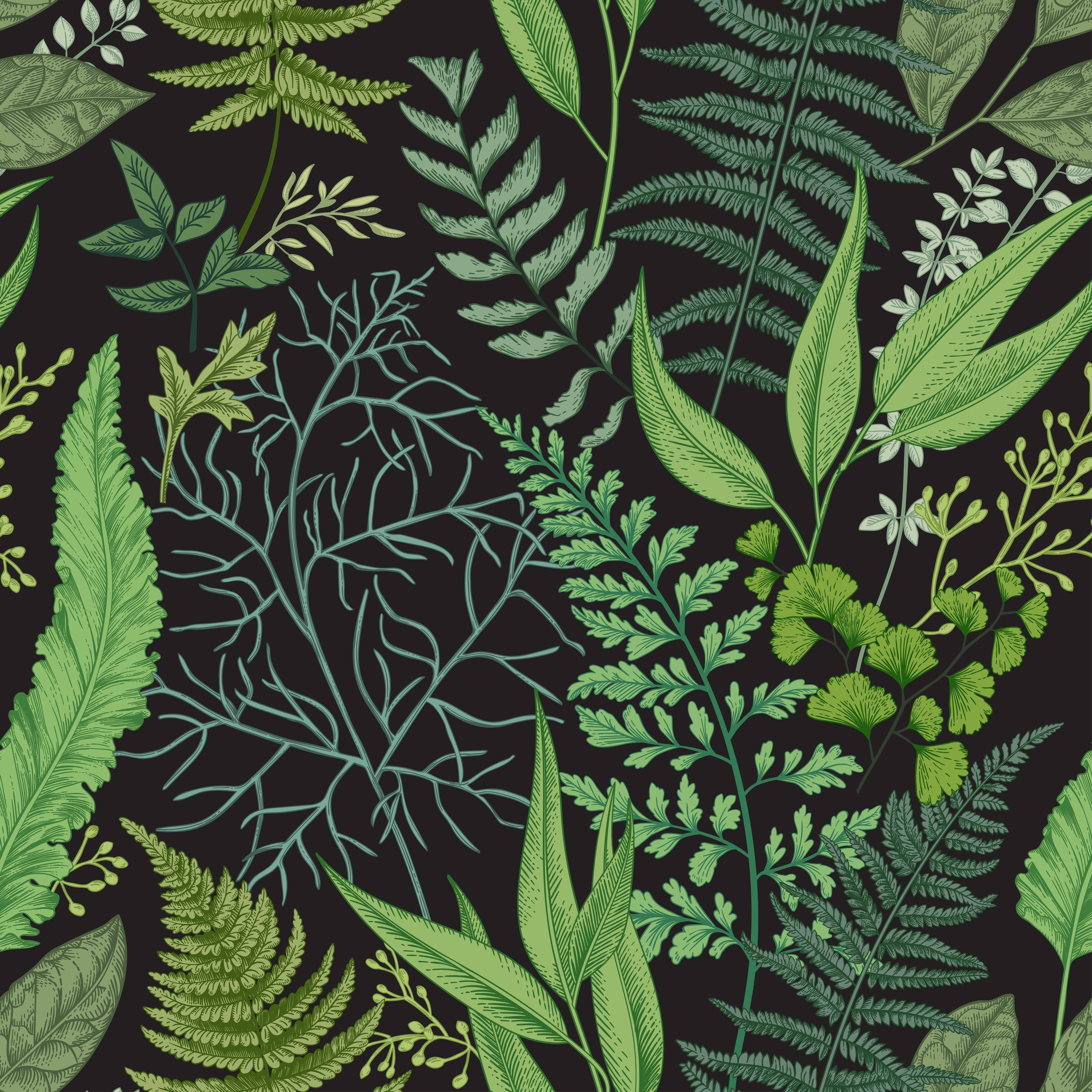 Botanical Leaves and Ferns Peel and Stick Wallpaper Bed Bath & Beyond
