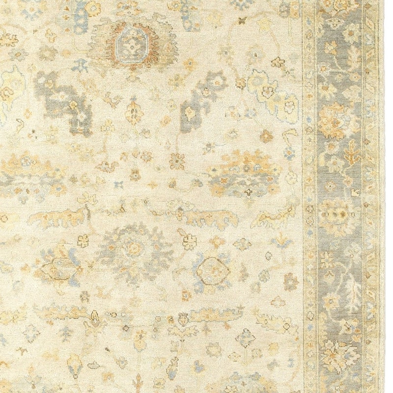 HomeRootsOriental Traditional Rectangle Area Rug