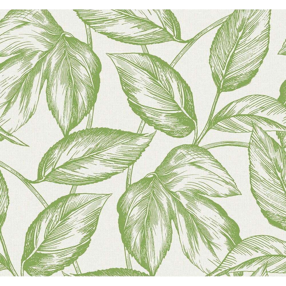 Seabrook Designs Beckett Sketched Leaves Unpasted Wallpaper
