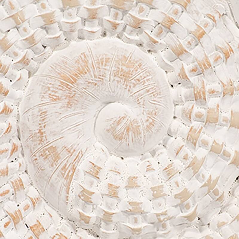 Ceramic Coastal Shell Tabletop Decoration - 7" - White