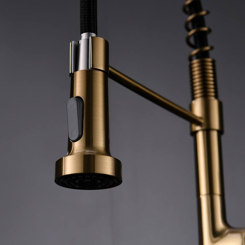 Gold Kitchen Faucet with Pull Down Sprayer
