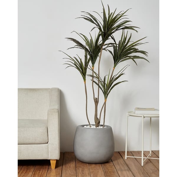 anthurium potting mix ANTHURIUM Soil Mix - Houseplant Growing Medium main image 0