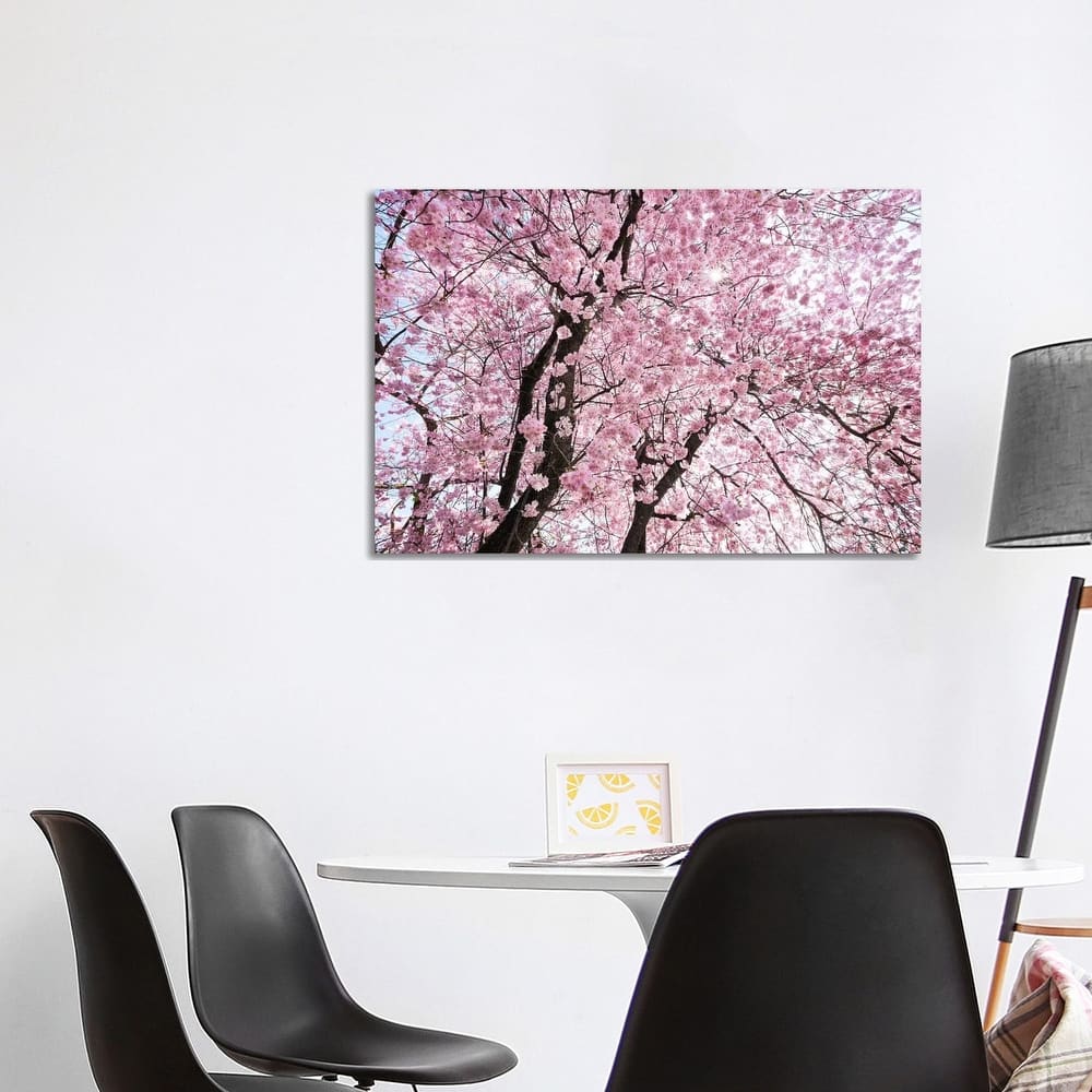 iCanvas "Cherry Blossom" by Stefan Hefele Canvas Print