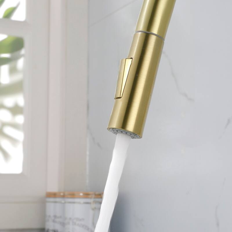 2-Function 1-Handle Pulldown Kitchen Faucet