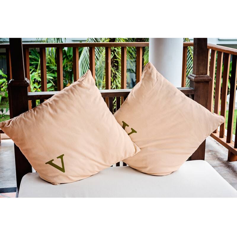 Modern Monogram Indoor/Outdoor Throw Pillow-V