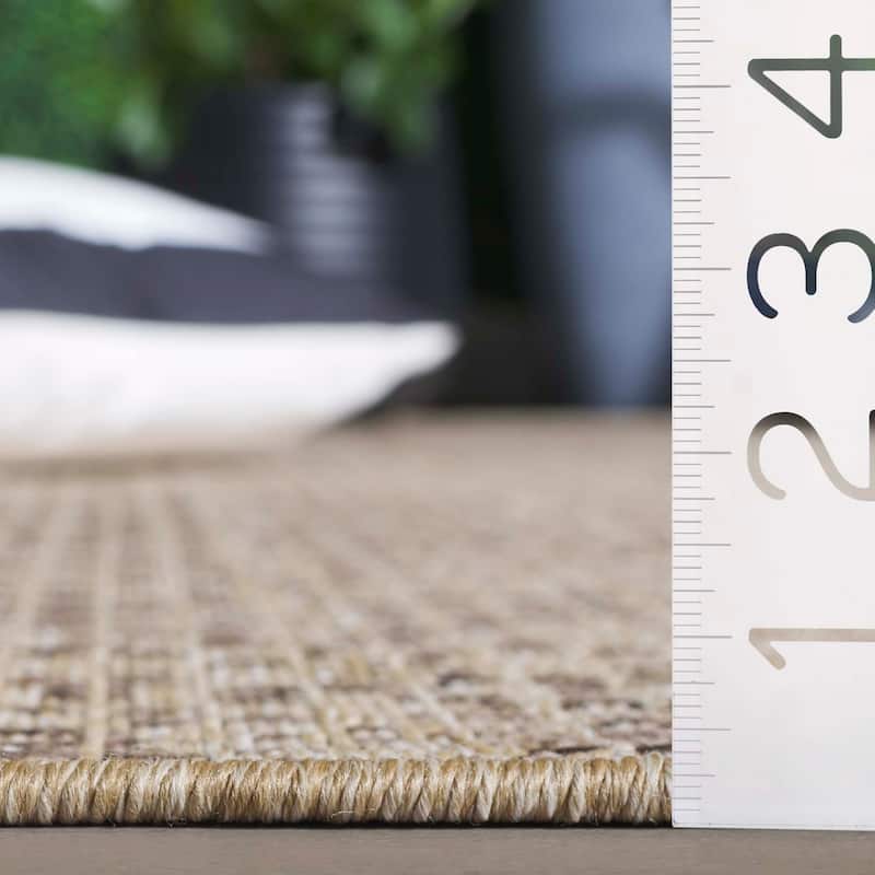 SAFAVIEH Sisal Sneha Performance Indoor/Outdoor Rug