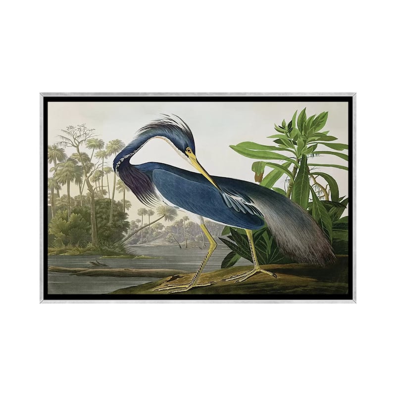 iCanvas "Louisiana Heron" by John James Audubon Framed