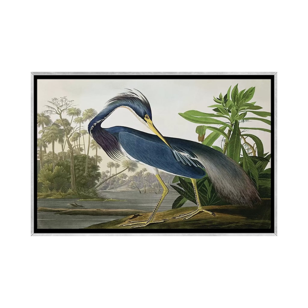 iCanvas "Louisiana Heron" by John James Audubon Framed