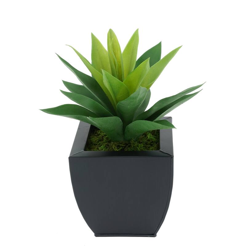 Faux Frosted Light Green Succulent in Tapered Zinc Planter