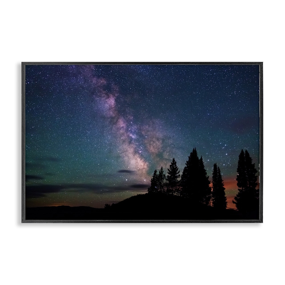 Stupell Silhouetted Forest & Night Sky Framed Giclee Art Design By Royce Bair