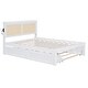 preview thumbnail 9 of 58, Versatile Pull-Out Bed,Full Size Elegant Bed Frame with Rattan Headboard and Sockets