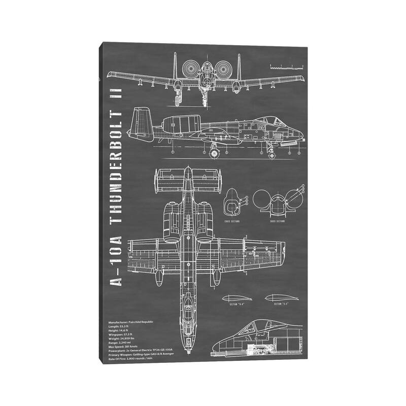iCanvas "A-10 Thunderbolt II (Warthog) Airplane In Black - Portrait" by Action Blueprints Canvas Print