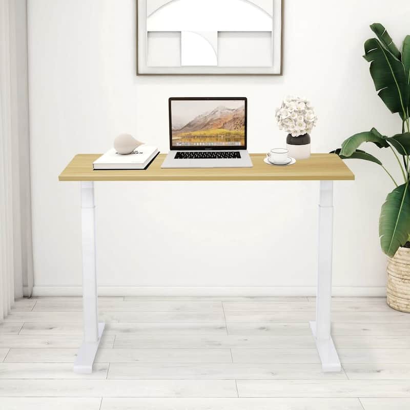 Rise Up Essential electric standing desk small 23.6x47.2 maple desktop