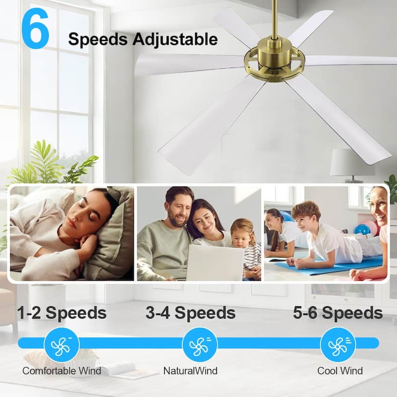 60 in. 6-Plywood Blades Indoor LED Ceiling Fan with Remote